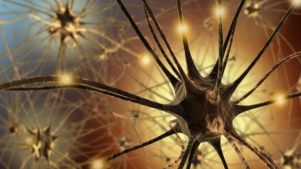 体检说我有先天性白内障有影响吗