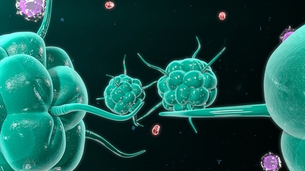 花柳病可以通过什么传染