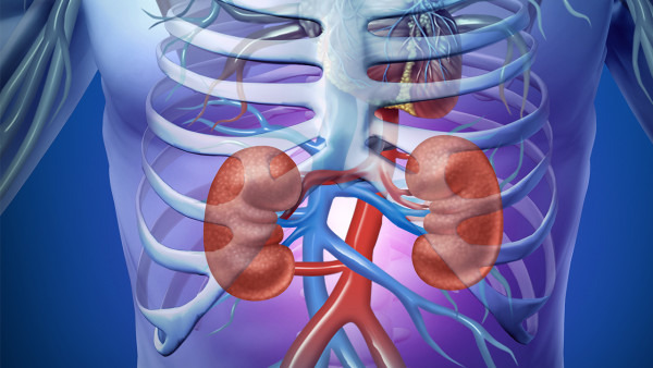 慢性肾炎怎么确诊