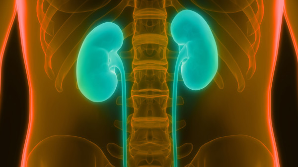 慢性肾炎的中医治疗方法有哪些