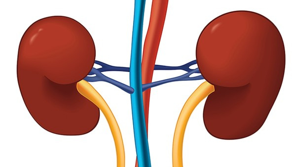 慢性肾炎是怎样得的