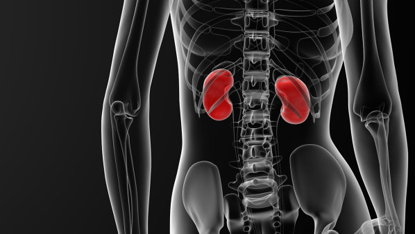 附睾炎还会导致什么病