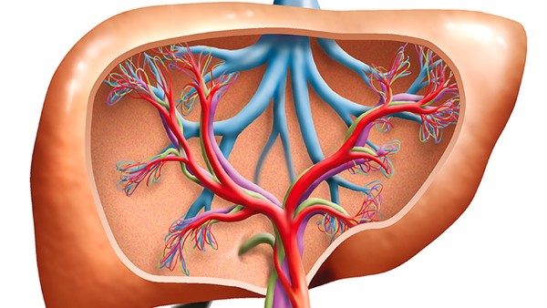 治疗颅内海绵状血管瘤的方法
