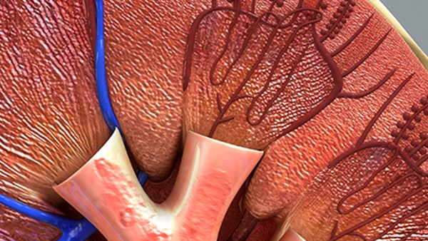 患上败血症很好治吗