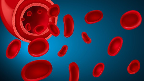 血液净化导致败血症怎么办