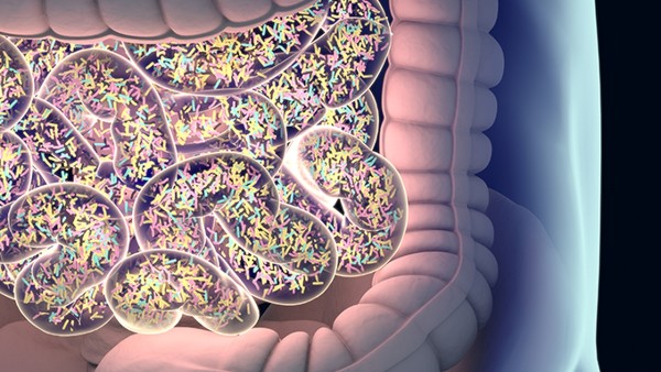 肠梗阻的病因有哪些
