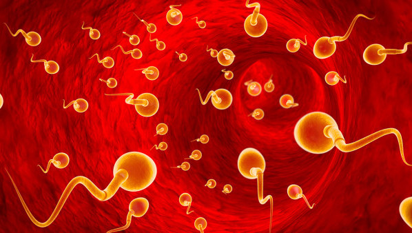 少精症的危害有哪些