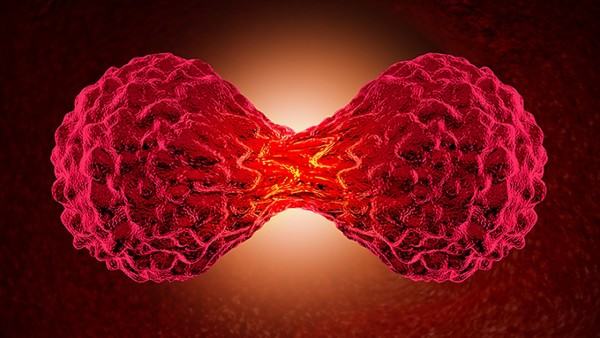 淋巴癌的中医治疗方法及验方