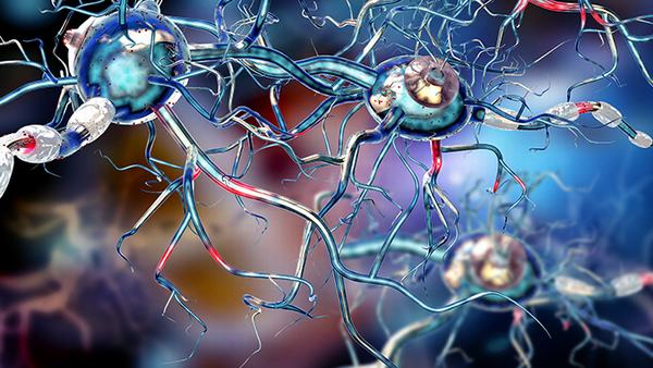 肺部淋巴癌是什么意思