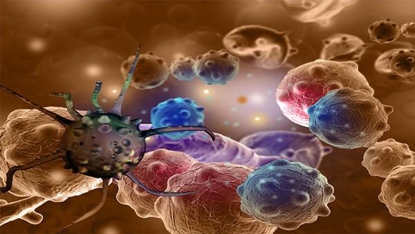 心脏脂肪瘤有哪些临床表现