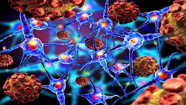 心脏上为什么会出现脂肪瘤