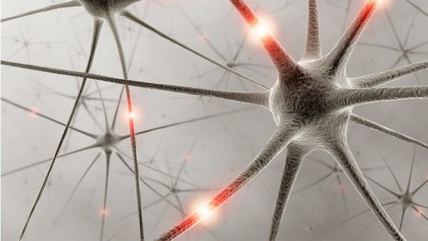 骨癌最初是什么感觉症状