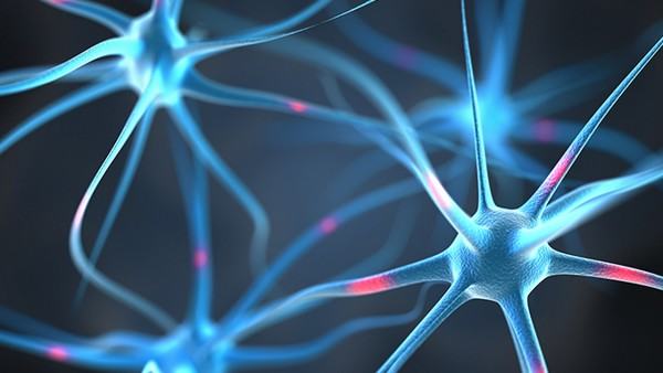 心脏脂肪瘤有哪些临床症状