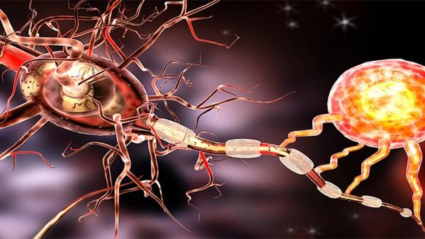 面神经瘤手术后面瘫怎么办