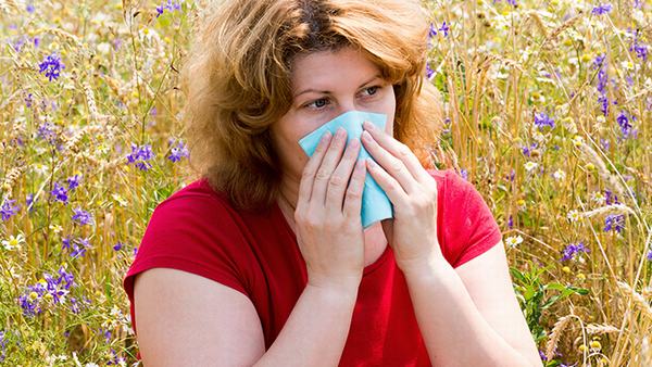 禽流感的主要症状表现是什么