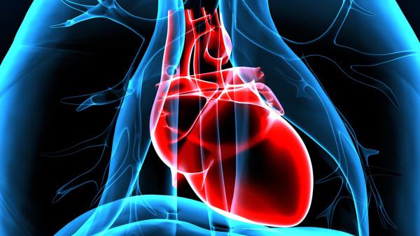 高脂血症怎么遗传