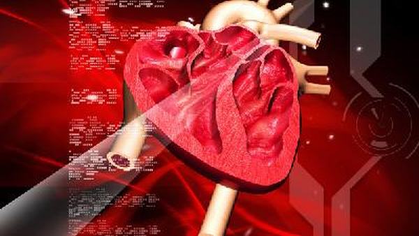 窦性心动过缓平时需要小心什么呢