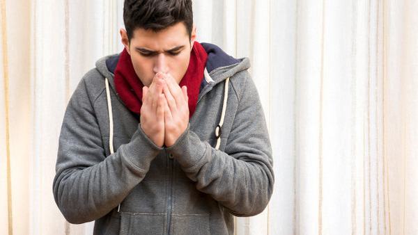 禽流感主要传播途径是哪些