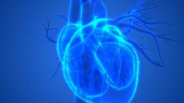 房颤的高危人群有哪些