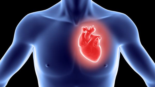 窦性心动过缓严重吗