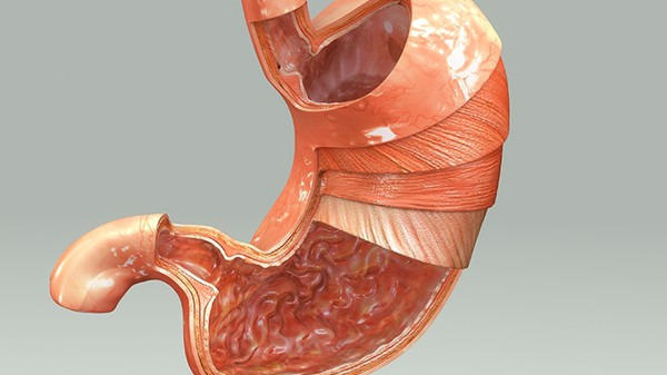 慢性浅表性胃炎是如何进行传播的呢