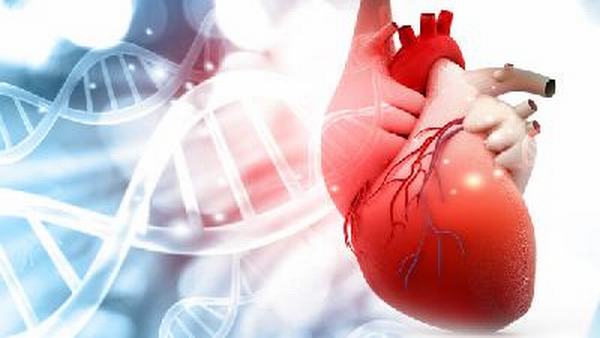 心肌梗死的护理是怎样的