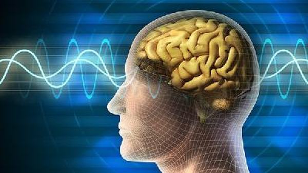 引起脑出血的原因有几种