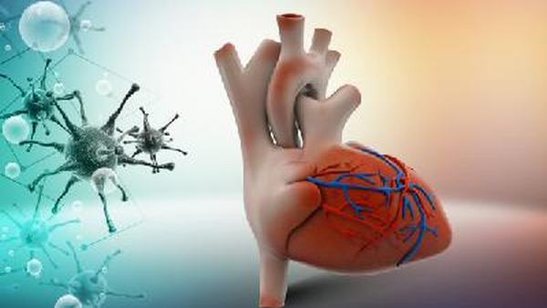 小儿心肌炎应该怎么治疗