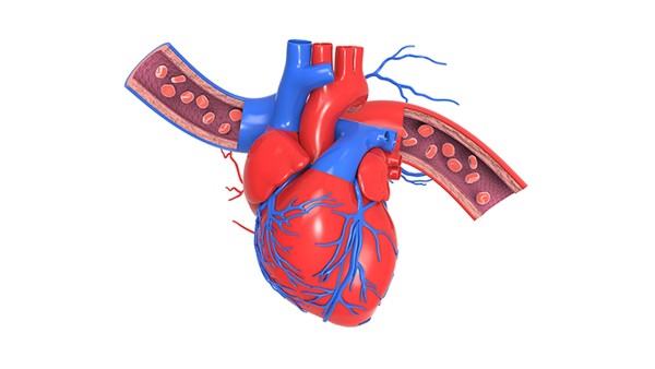 揭秘心律失常背后的凶手