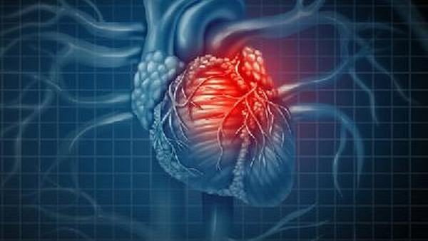 小儿暴发性心肌炎表现