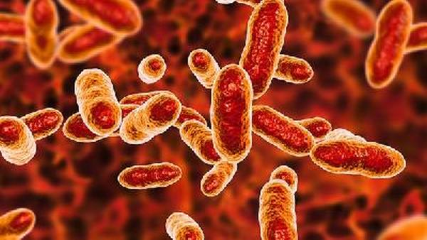 分析热伤风和病毒性感冒区别