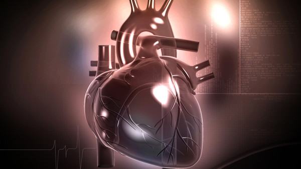 心肌缺血的危害有多大