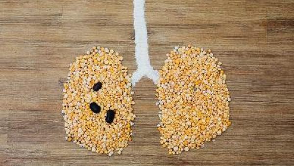 特发性肺纤维化的病因