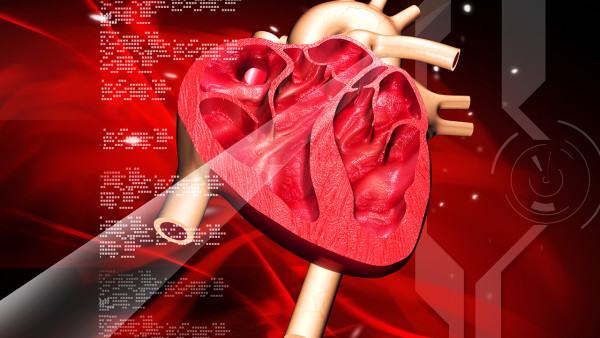 心肌缺血会遗传吗