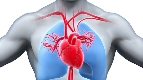 为您解析患有心肌缺血的危害