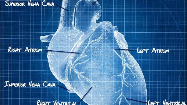 心肌炎检查什么项目