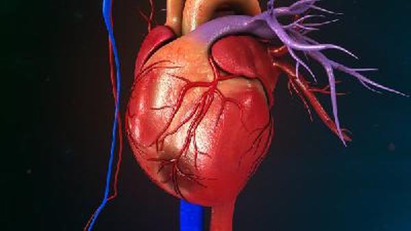 心肌缺血是否隔代遗传