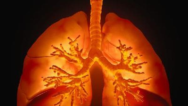 治疗肺纤维化要明确病因