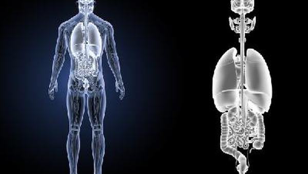 肺纤维化患者吃什么好