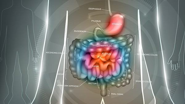 孕妇患肠胃炎怎么办