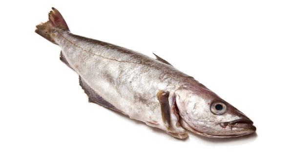 造成痛风的主要原因是什么呢