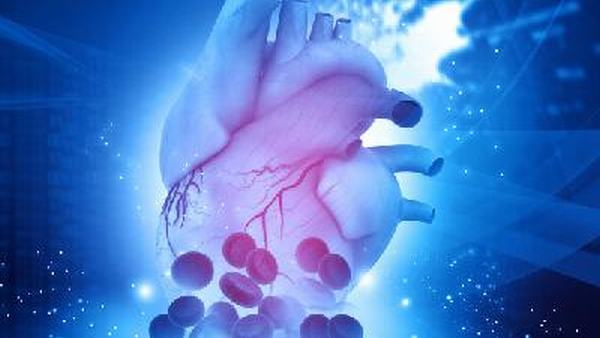 病毒性心肌炎初期