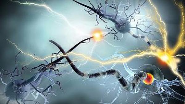 病毒性感冒和细菌性感冒有什么区别