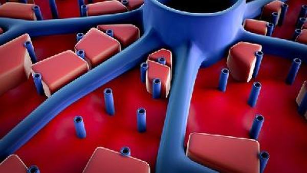 病毒性感冒患者吃什么食物好