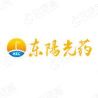 宜昌东阳光长江药业股份有限公司