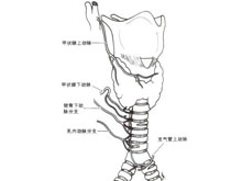 艾柯病毒急性支气管炎