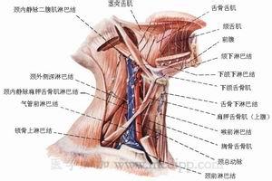 急性淋巴结炎