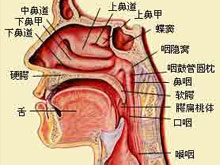 鼻窦黏液囊肿