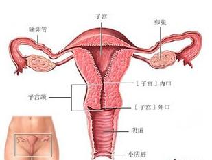 急性子宫内膜炎