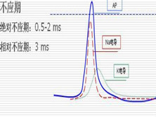 低血钾性周期性麻痹